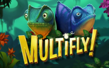 Multifly!